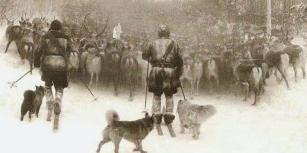 koira-ch_historique_sami_08